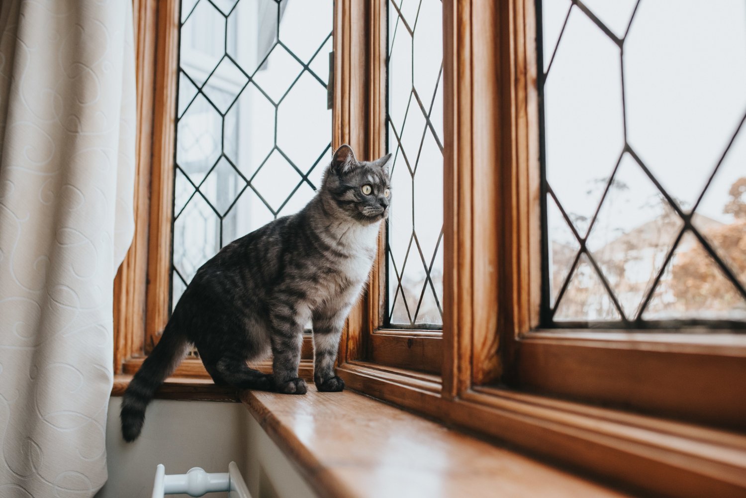 Do New Windows Actually Save You Money On Energy Bills?