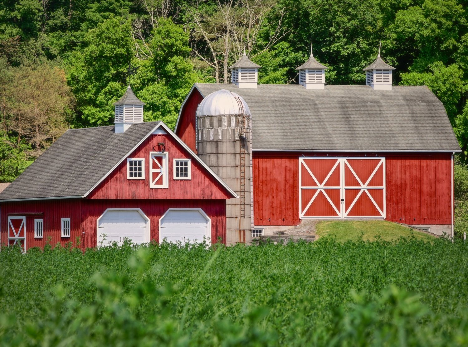 1960s–1980s Ranch Homes In MetroWest: Top Leakage Points And Best Insulation Upgrades