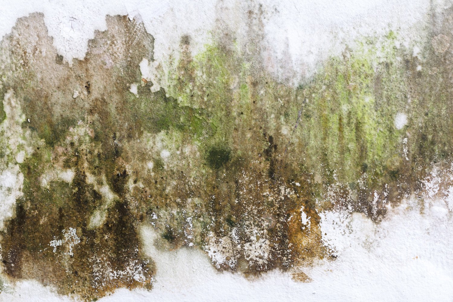 Attic Moisture And Mold In Massachusetts: How Air Leakage Causes It—and How To Correct It